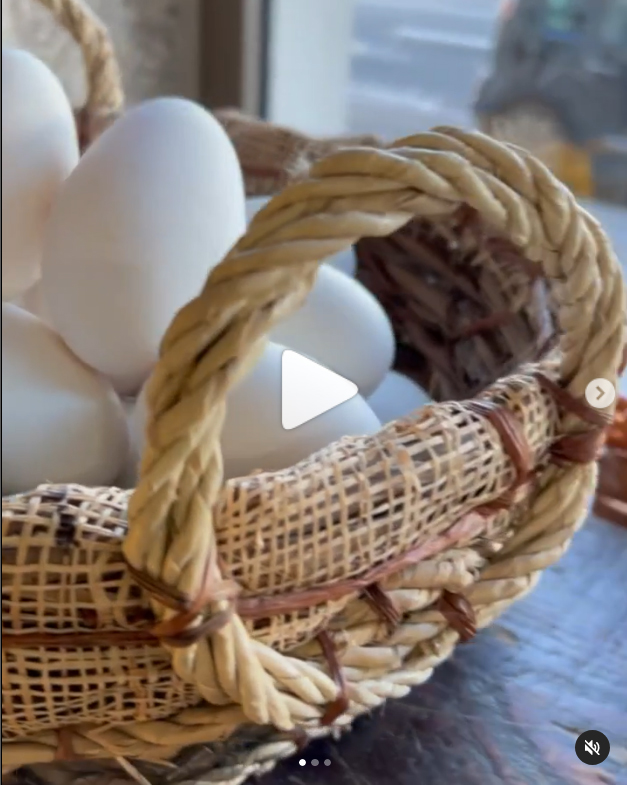 Fromagerie Polese : retour des oeufs d'oies