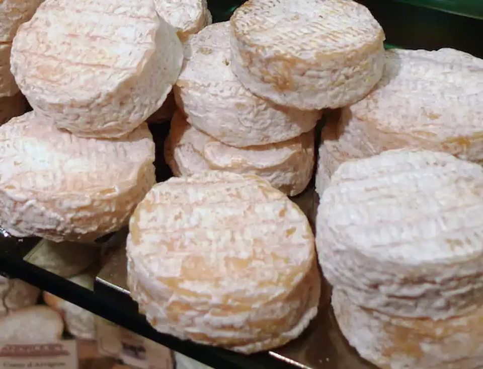 La fromagerie Polese présente les rigottes de Condrieu
